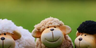 grass-meadow-sheep-ceramic-toy-primate-1035526-pxhere.com